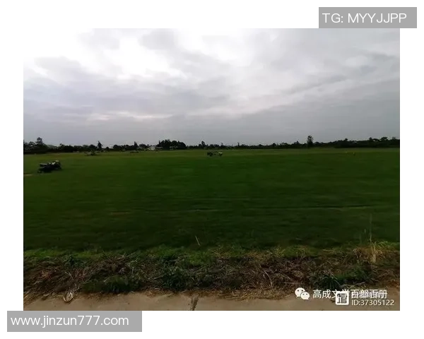 田亮的故乡揭秘 他到底是哪里人从家乡到足球场的传奇故事